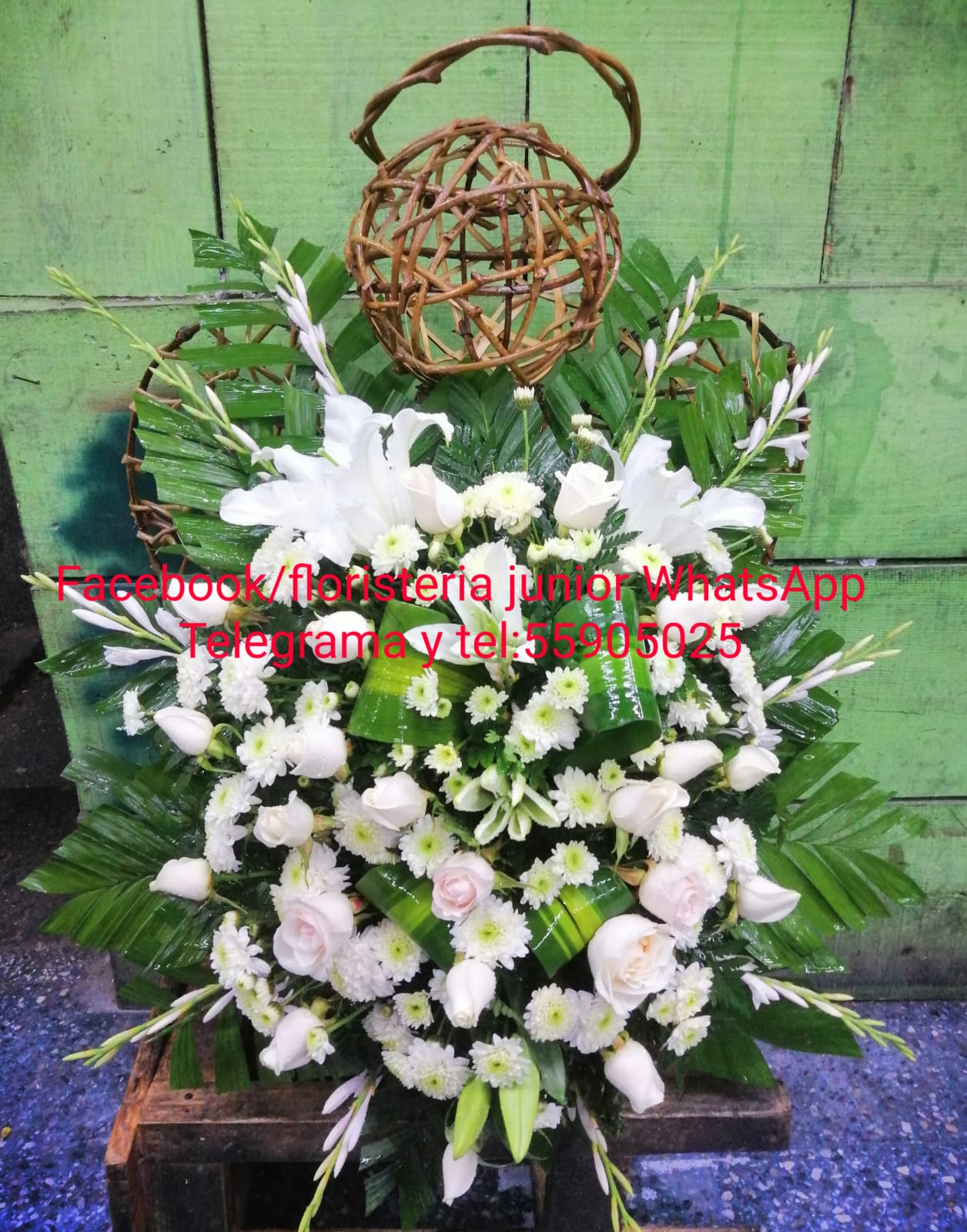 CORONAS FUNEBRES DE FLORES NATURALES ARREGLO FLORAL FUNEBRE cruces funebres palmatorias funeres angeles funebres CON ENVIO A DOMICILIOCORONAS DE FLORES NATURALES Y ARREGLO FLORAL FUNEBRE CON ENVIO A DOMICILIOANGELES FUNEBRES DE FLORES NATURALES CON ENVIO A DOMICILIO envio a domicilio gratis de coronas funebres arreglos florales FUNEBRES angeles funebres palmatorias funebres ofrendas funebres detalles funebres flores funebres ramos de flores funebres para funeral envio de flores floristeria florales para difunto para velorio para muerto envio a domicilio de flores funebres